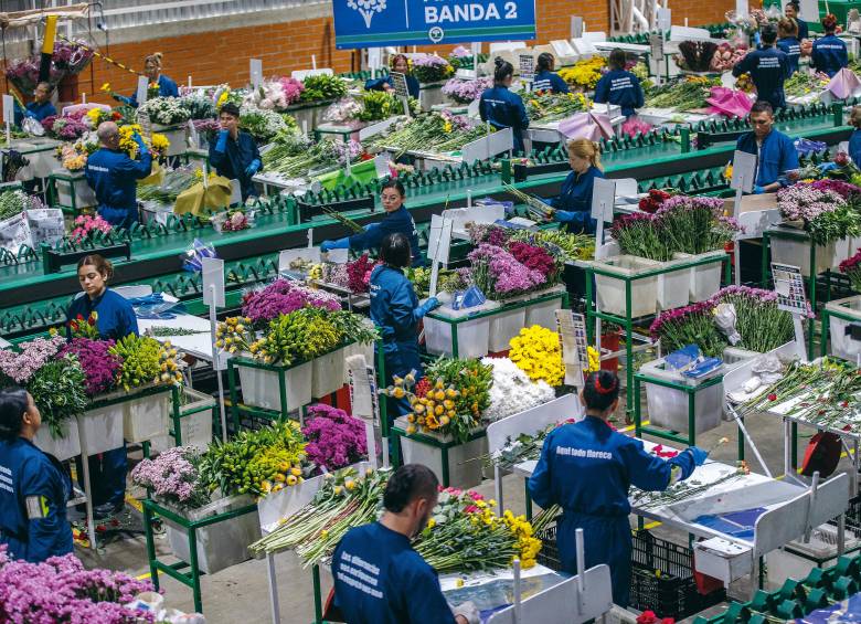 Colombia cerró 2025 con 93 empresas exportadoras menos, ¿qué pasó?