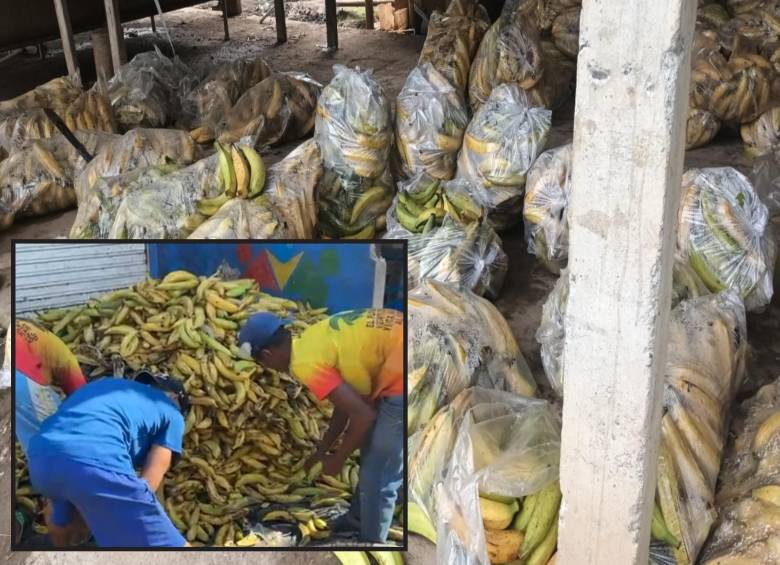 Los plátanos de los campesinos de Urabá llegan a cualquier rincón del departamento. Hasta en las plazas de mercado hay montañas de ellos. FOTOS: Cortesía