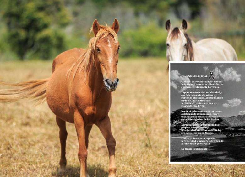 Una niña de 4 años murió en un establecimiento ubicado en Palmira, Valle, mientras daba un paseo en caballo guiado a través de un instructor. Fotos: Andrés Camilo Suárez Echeverry y @latinajacali