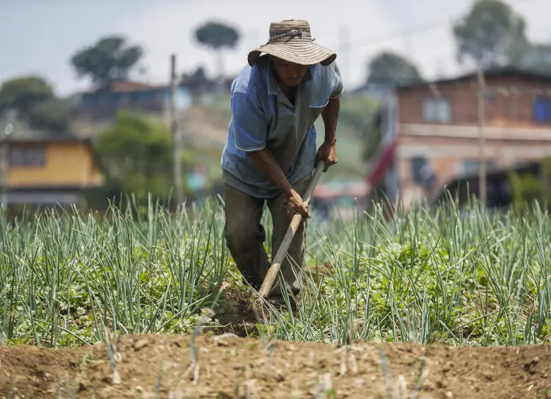 Distintos sectores del agro reclaman medidas urgentes para proteger el sustento de millones de familias rurales. Foto: Manuel Saldarriaga