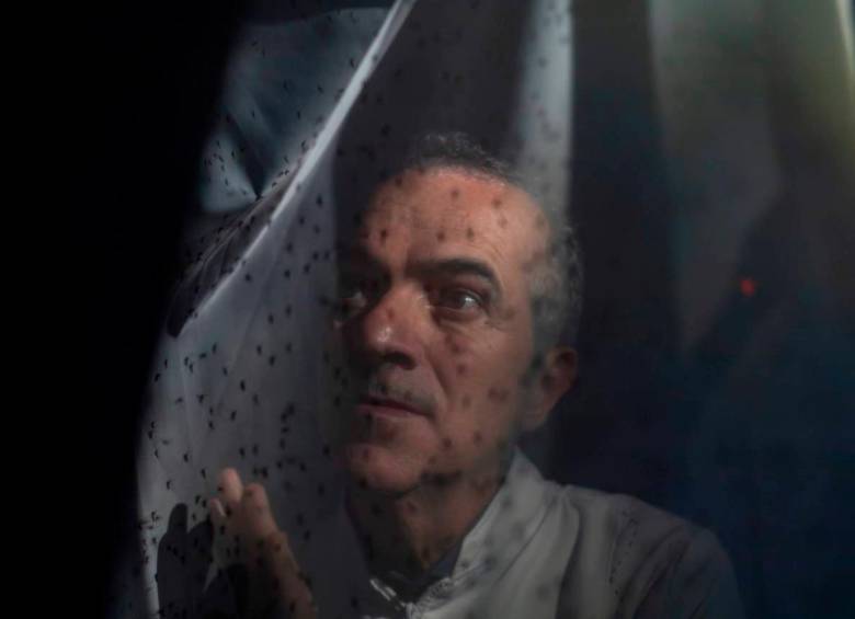 La empresa que dirige Moreiro para crear los mosquitos se llama Wolbito do Brasil. FOTO: Gabriela Portilho / Nature.