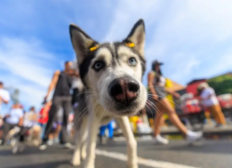 Foto: Camilo Suárez. 