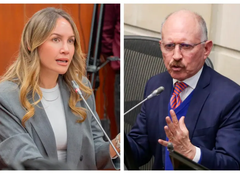 Las decisiones del CNE levantaron suspicacias en el Senado, pues sus votos podrían inclinar la elección del nuevo magistrado de la Corte Constitucional a favor de la candidata respaldada por el petrismo. FOTO: X @AnyMarCas - COLPRENSA