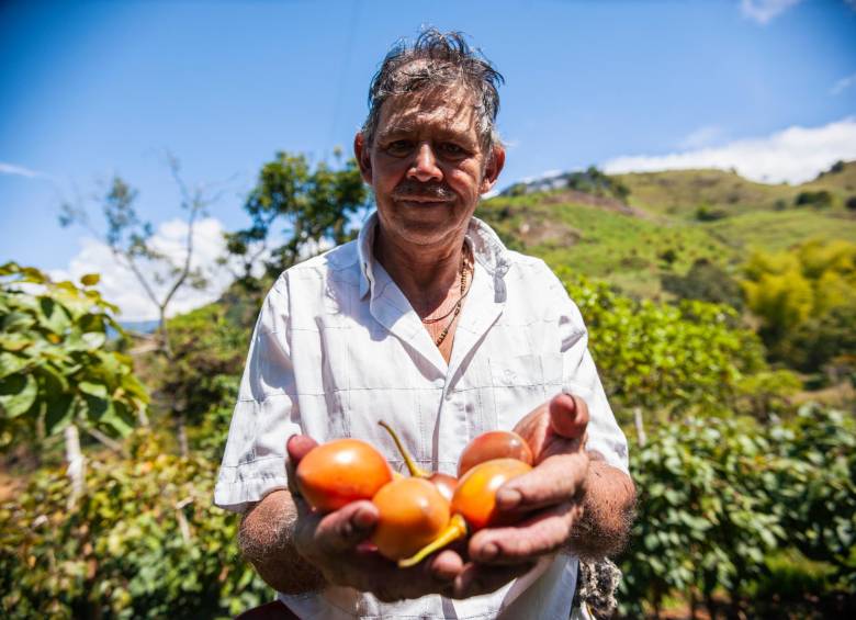 Banco Agrario: cuatro años de grandes transformaciones llegando a quienes más lo necesitan