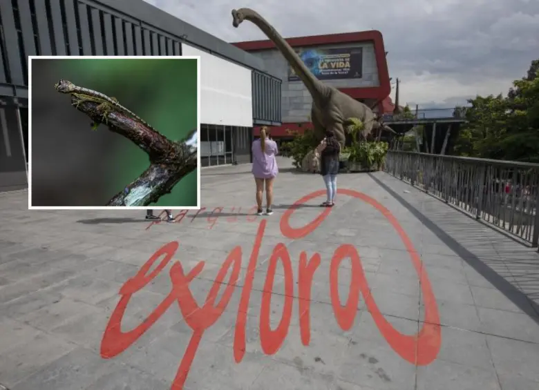 El Parque Explora es un referente de ciudad que combina ciencia con entretenimiento. Foto: EL COLOMBIANO