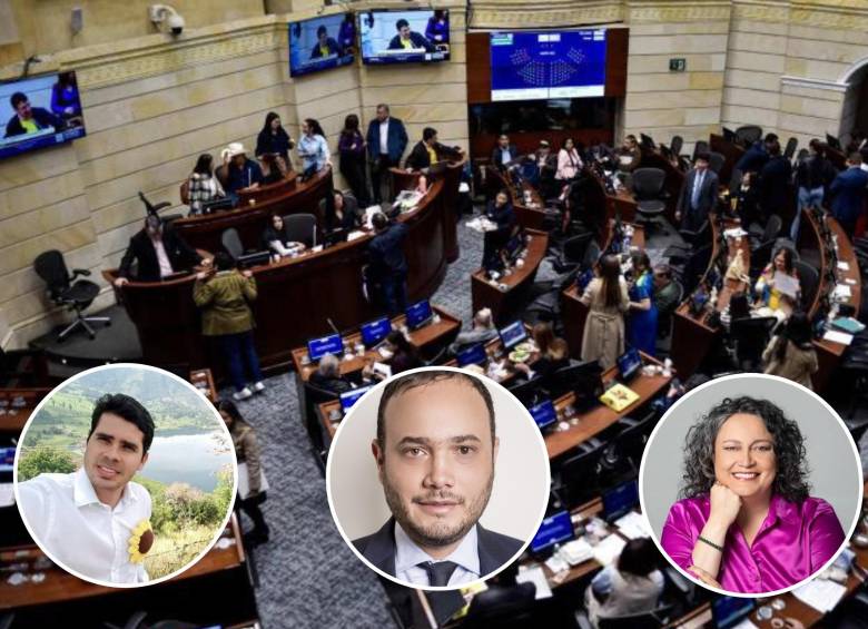 El último año fue en el que menos proyectos se aprobaron. Foto: Cristian Bayona. Colprensa - Congreso Visible