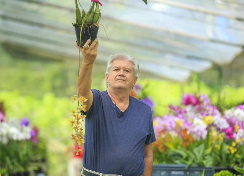 El guardián de las orquídeas: Francisco Villegas y la cultura del respeto por la naturaleza