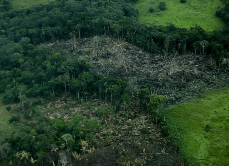 Tanto las zonas boscosas del Amazonas como a nivel global, vienen sufriendo deforestación e incendios, acabando con la capa verde de los territorios. FOTO: EUROPA PRESS