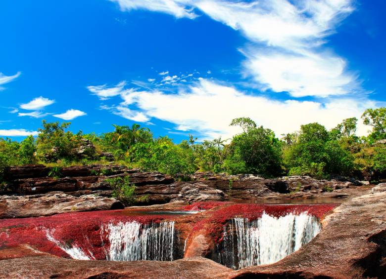 El color de este río se le atribuye a plantas acuáticas endémicas de la zona. Foto: El Colombiano.