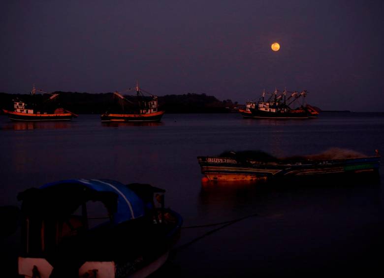 Este martes también se puede ver la “luna rosada” en Colombia