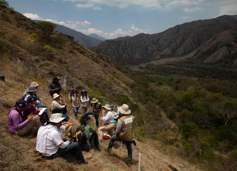 Antioquia fue el departamento que recibió inversión social del 51% de las 318 empresas evaluadas por el IISAE 2026 y también lideró en inversión ambiental. FOTO EL COLOMBIANO