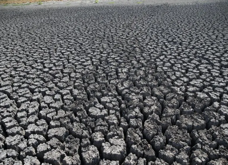 El calor no va a parar: la temperatura del planeta seguiría rompiendo récords hasta 2030