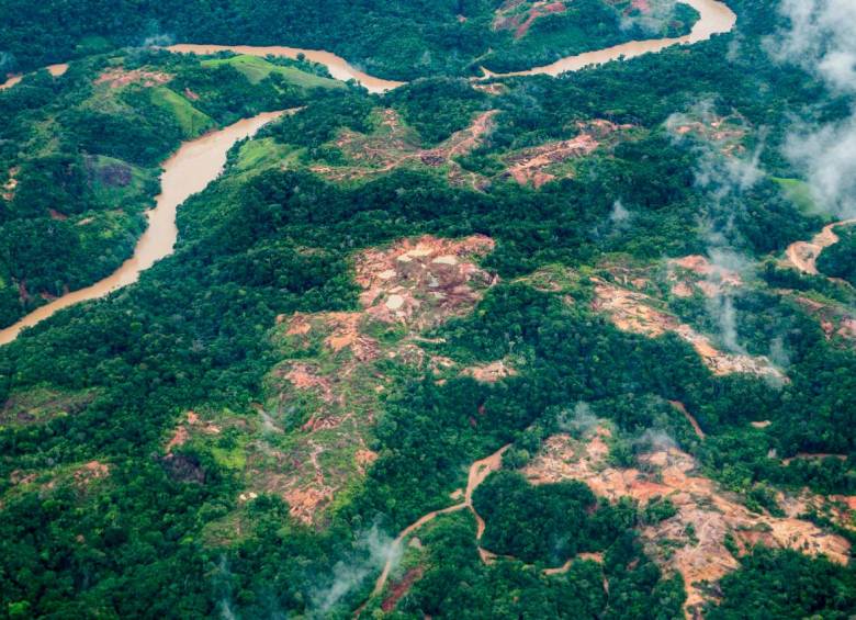 Solo en 2020 se perdieron 171.685 hectáreas de bosque a causa de la deforestación en Colombia. FOTO JULIO CÉSAR HERRERA