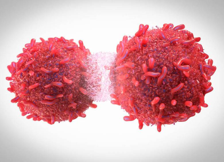 El estudio del Centro Nacional de Investigaciones Oncológicas muestra además la relación del gen PAH, conocido por su implicación en un trastorno para asimilar proteínas, con cánceres de pulmón e hígado. FOTO Cortesía