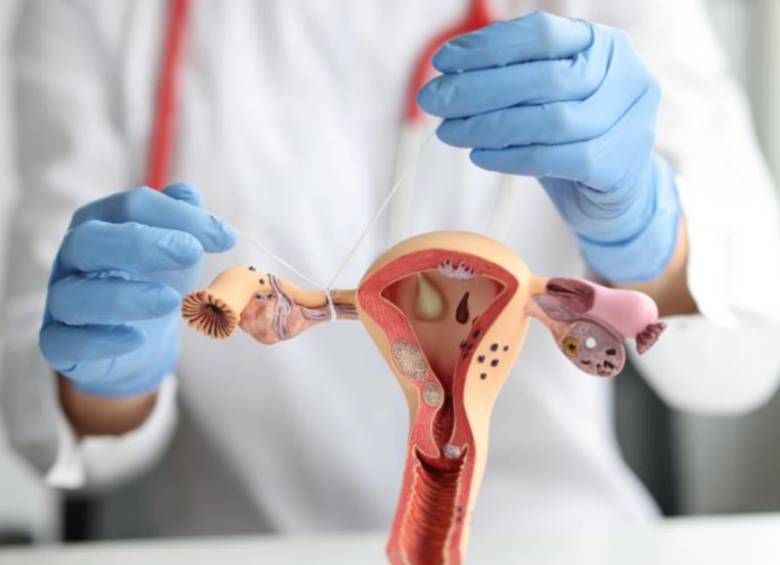 La Corte avaló la recanalización tubárica como herramienta para decidir cuántos hijos tener y ordenó al Ministerio de Salud definir su financiación en el sistema de salud. FOTO DEPOSITPHOTOS