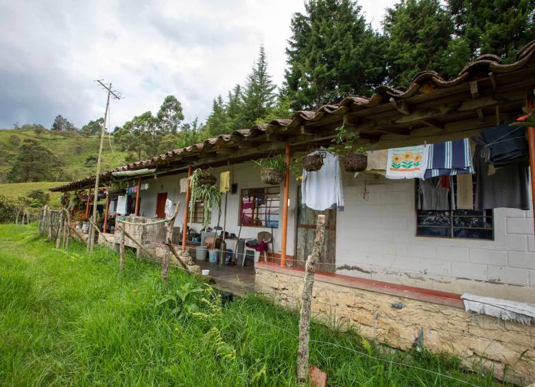 Esta es la casa de la cual sacaron a Martha Margarita y a su familia en el 2006. No es visible desde la distancia. FOTO edwin bustamante