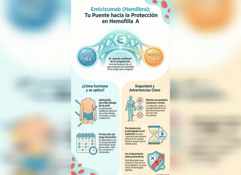 Así funciona el emicizumab en el cuerpo. Foto: Infografía creada para EL COLOMBIANO con inteligencia artificial. 