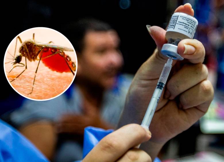 Tolima es el departamento con más casos y muertes por fiebre amarilla. FOTOS: Julio César Herrera y Colprensa