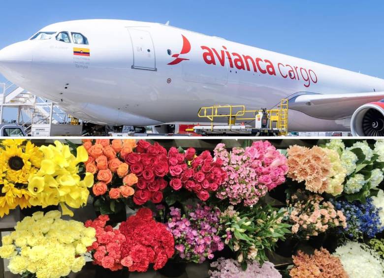 Un arduo trabajo realizó Avianca Cargo luego de transportar 330 millones de flores colombianas y ecuatorianas a Estados Unidos. FOTO: Avianca Cargo - EL COLOMBIANO
