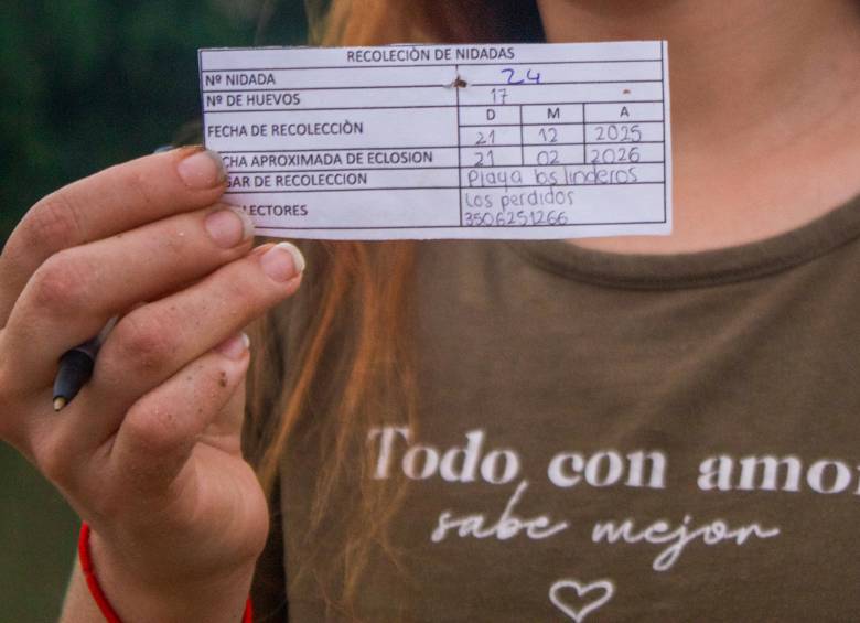 Recolección de huevos de tortuga monitoreo. Foto: Cristina Rodriguez. 