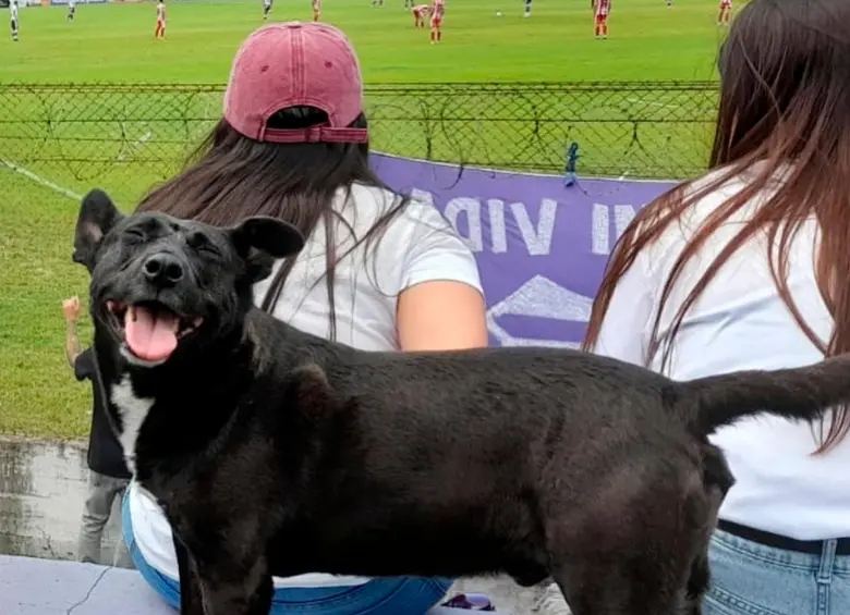 Guille en la cancha de Villa Dálmine. FOTO: Instagram elperrodelclub