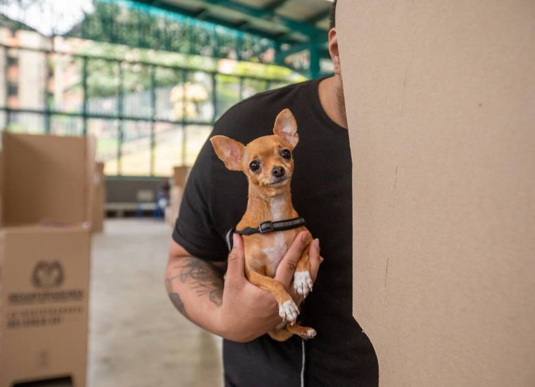 $!Recuerde que no existe ninguna prohibición sobre el ingreso de mascotas a los lugares de votación. FOTO: Carlos Velásquez