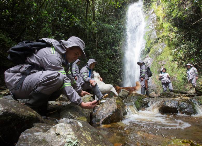 Los guardabosques se forman para fortalecer la conservación desde Corantioquia. FOTO manuel saldarriaga
