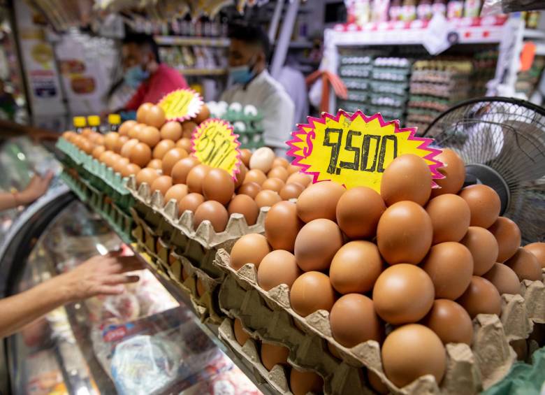En Colombia se consumen al día 48 millones de huevos. FOTO: Carlos Velásquez