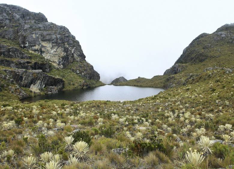 El páramo de Santurbán aún no tiene actualizada su delimitación: la medida tiene que ver con una reserva temporal en los alrededores del páramo. FOTO: Colprensa