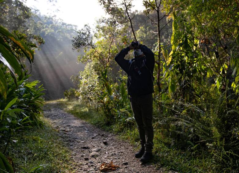 Los ecosistemas de Medellín, en especial el refugio del Alto de San Miguel, gozan de buena salud reportando el avistamiento por primera vez de diversas especies de fauna. Foto: Edwin Bustamante. 