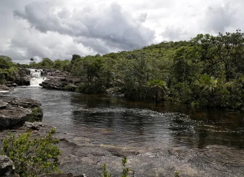Caño Cristales. FOTO: Colprensa