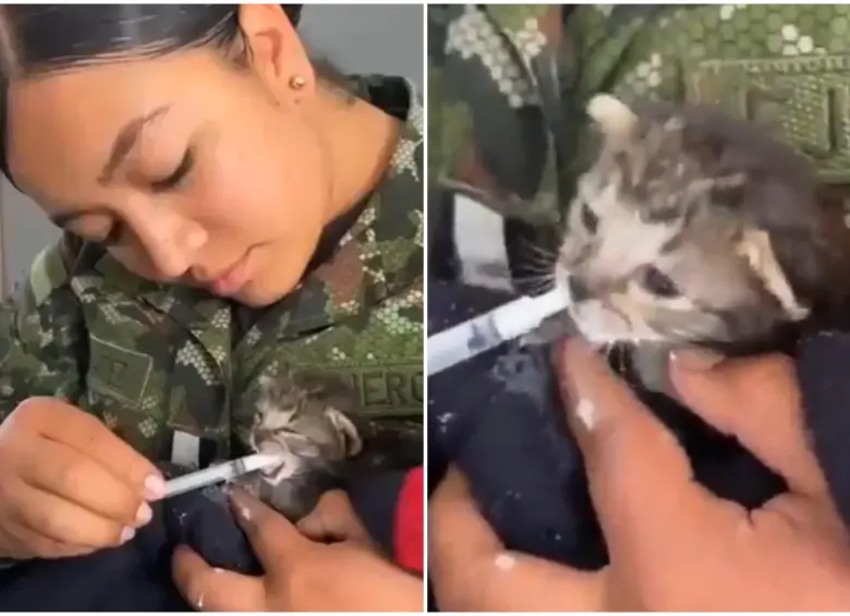 La acción de la mujer fue reconocida en redes sociales. FOTO: Captura video de redes sociales @COL_EJERCITO