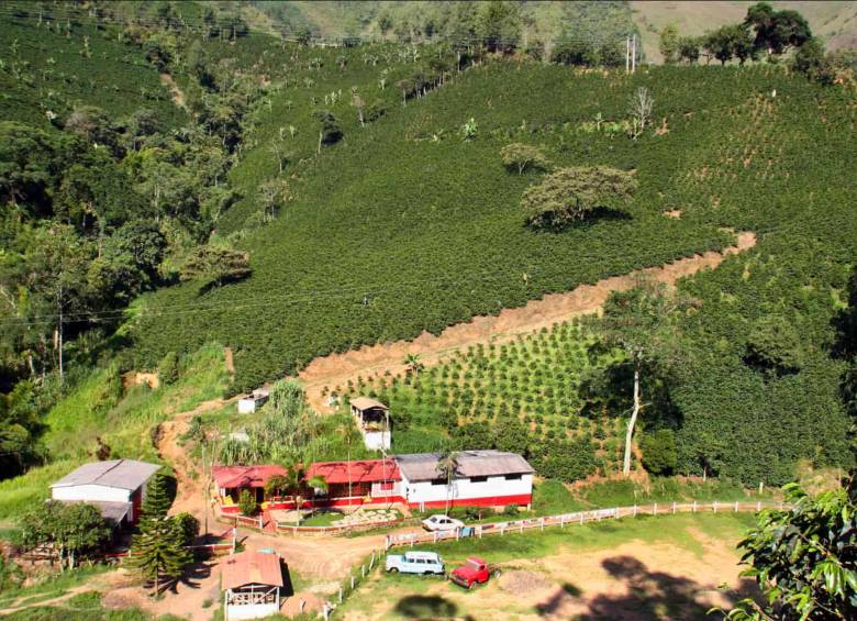 Cinco Appa de la reforma agraria de Petro serán derogadas por el Gobierno de Abelardo de la Espriella. Foto: El Colombiano