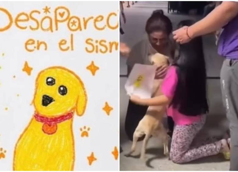Con un lápiz y una hoja de papel, una niña en Cali trazó el rostro de Bruno, su perro, quien huyó desorientado durante el terremoto que afectó a la ciudad. FOTO: Captura de video de redes sociales @fundaciongloriamariana y @soylorenarosero