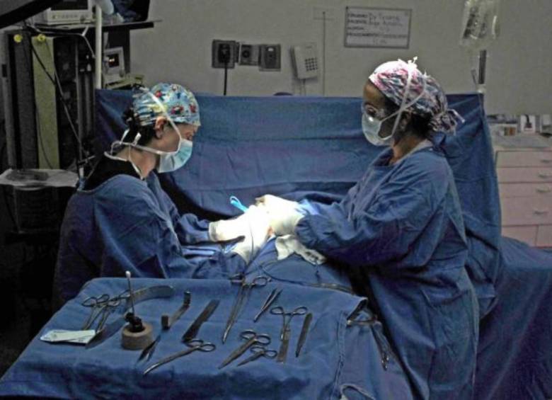 Los médicos que rompan esta ley podrían pagar de 32 a 120 meses en prisión. FOTO: Colprensa