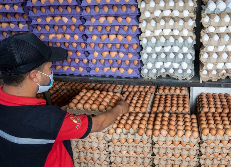 A Colombia no llegan huevos frescos importados de Alemania ni de ningún país. FOTO: Edwin Bustamante