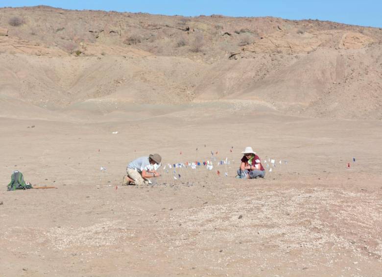 Investigadoras en el área del hallazgo. FOTO: Cortesía ASU