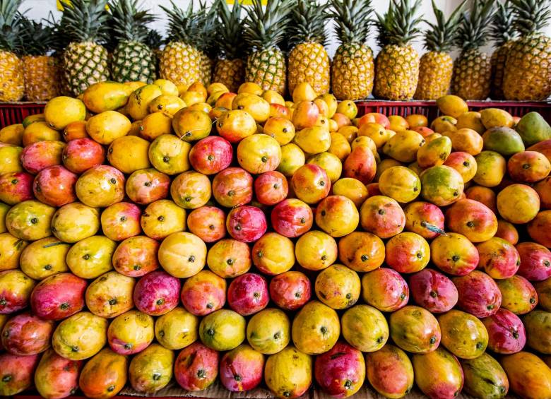 Actualmente el principal proveedor de mango hacia EE. UU. es México, con exportaciones por US$381,4 millones, seguido por Perú, con US$ 77,8 millones, y Filipinas con US$ 31,0 millones. FOTO jaime pérez