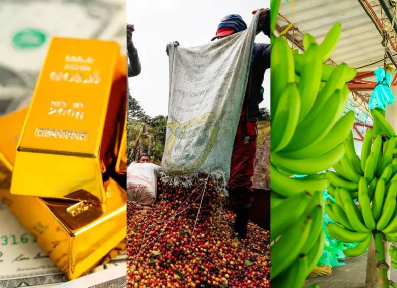 Por productos a nivel país, petróleo, café, oro, carbón y banano conformaron el top cinco de bienes más demandados por los mercados internacionales. Foto: Getty, Manuel Saldarriaga y Camilo Suárez