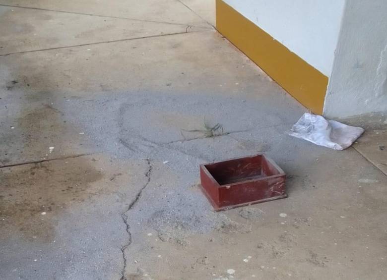 Foto: Cortesía