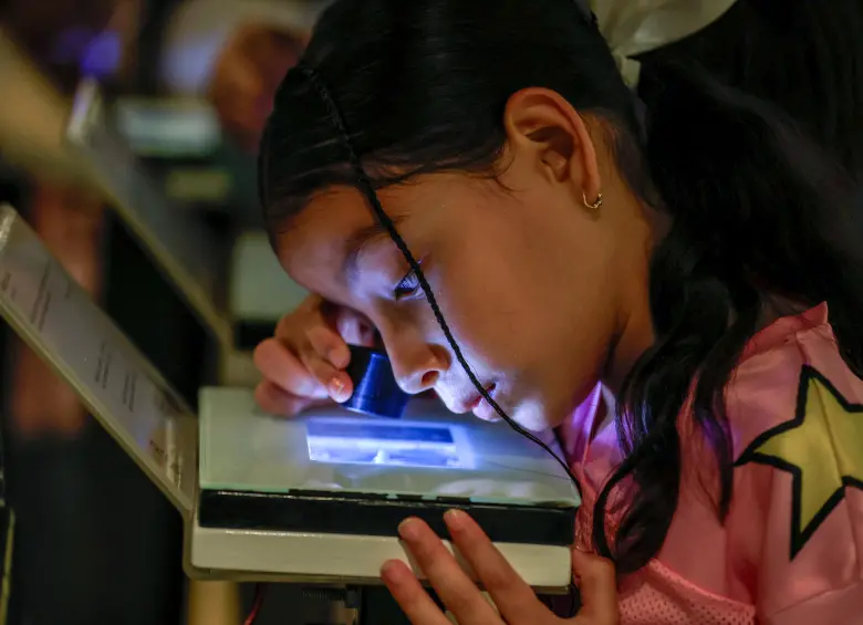 Muchas obras hay que verlas con lupa para dimensionar el nivel de detalle que la artista le imprime. FOTO Camilo Suárez.