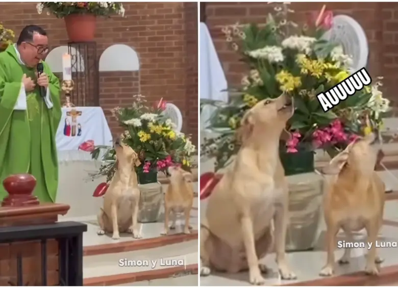 Una escena inusual quedó registrada en video durante una eucaristía oficiada por el padre Carlos Mario Peña Lopera en Villavicencio. FOTO: Captura de video de redes sociales @padrecarlosmariobendito