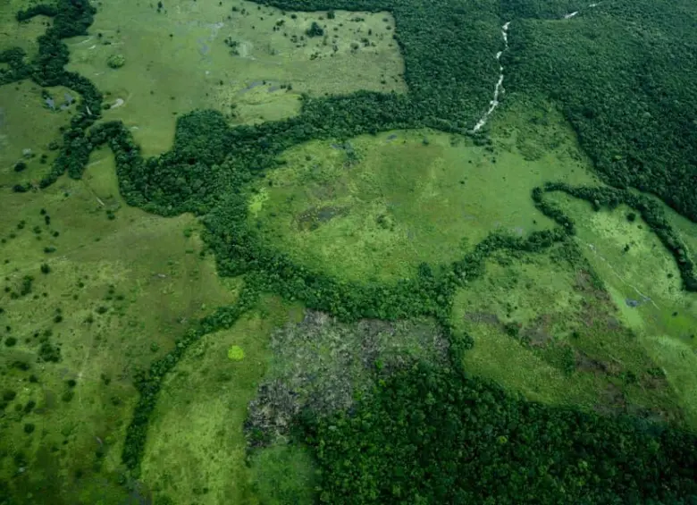 Deforestación en la Amazonía, la selva tropical más grande del mundo. Hasta más de 100 hectáreas de extensión tienen las marcas de deforestación en parques naturales como La Macarena, Chiribiquete, Tinigua y la Reserva Nacional Natural Nukak. Mayo de 2024. FOTO: Colprensa. 