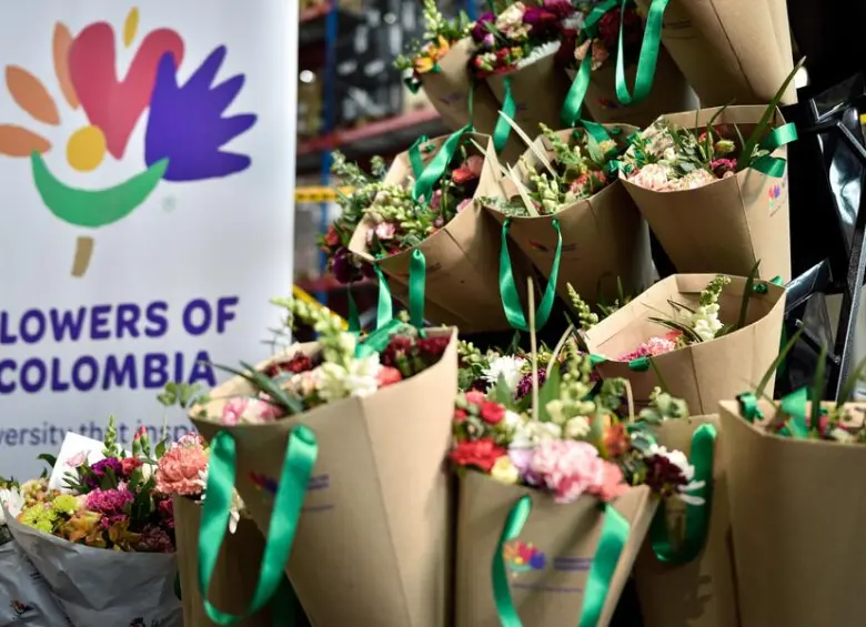 Las flores colombianas perderían US$250 millones por el arancel de Donald Trump. FOTOS: COLPRENSA