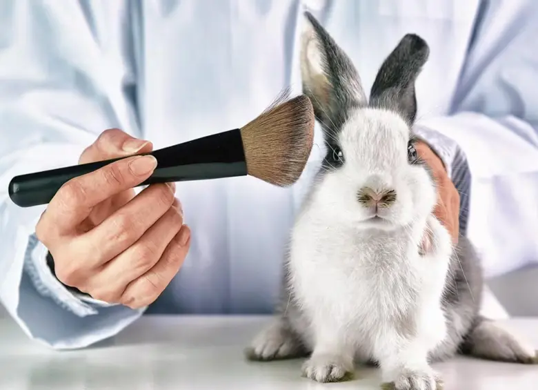 Ni ingredientes, ni productos finales. El Gobierno Nacional blindó la normativa contra el maltrato animal en la industria cosmética. FOTO: SSTOCK