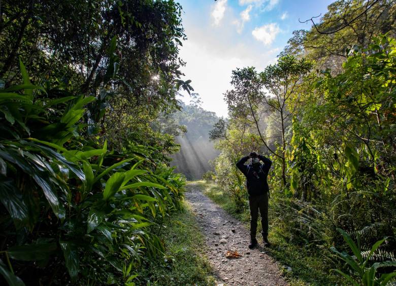 Antioquia en una guía para los amantes de la naturaleza