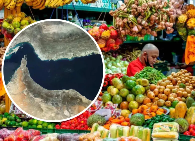 Crisis de Ormuz amenaza con encarecer alimentos en todo el mundo, según la FAO. Foto: Juan Antonio Sánchez