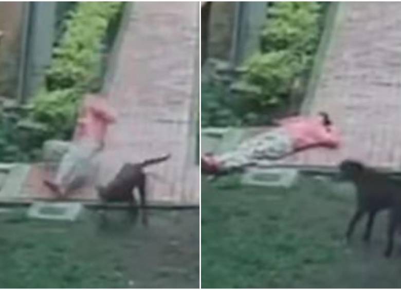 La mujer caminaba por el pasillo y el perro apareció de atrás arrollándola fuertemente. FOTO: CAPTURA VIDEO REDES SOCIALES