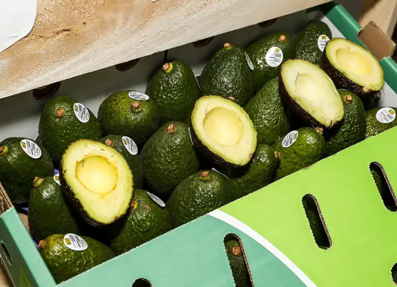El aguacate Hass es la tercera fruta más exportada del país. Foto: Jaime Pérez