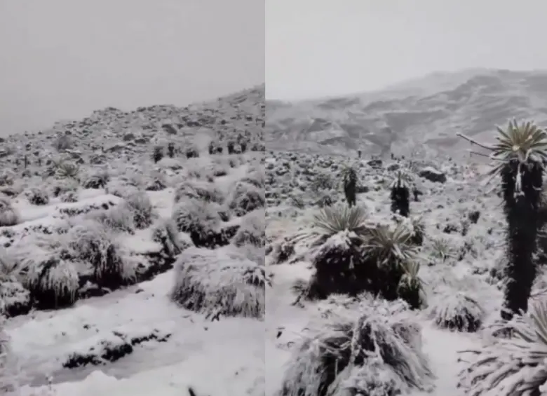 La intensa nevada en el Parque Nacional Natural El Cocuy cubrió sectores como el Ritacuba Blanco y el Púlpito del Diablo, sorprendiendo a turistas y guías locales. FOTOS: Captura de video